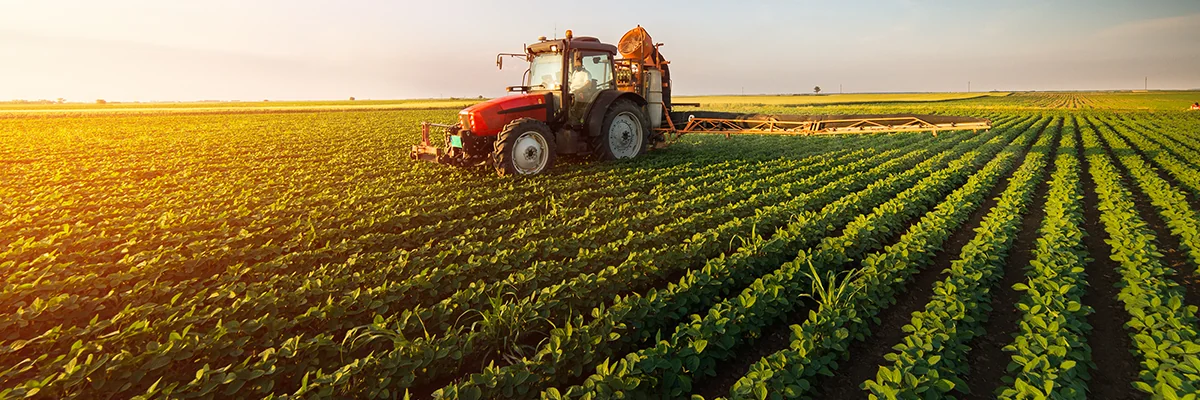 Agricultural field and tractor